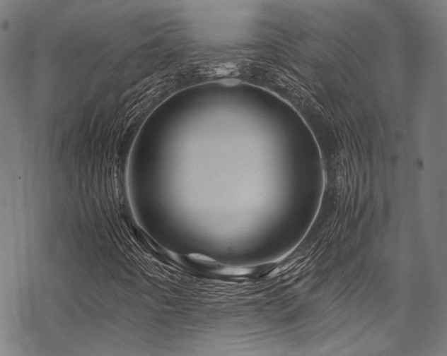 X0000070191442200605261146