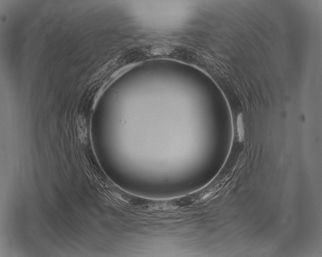 X0000070191443200605261146