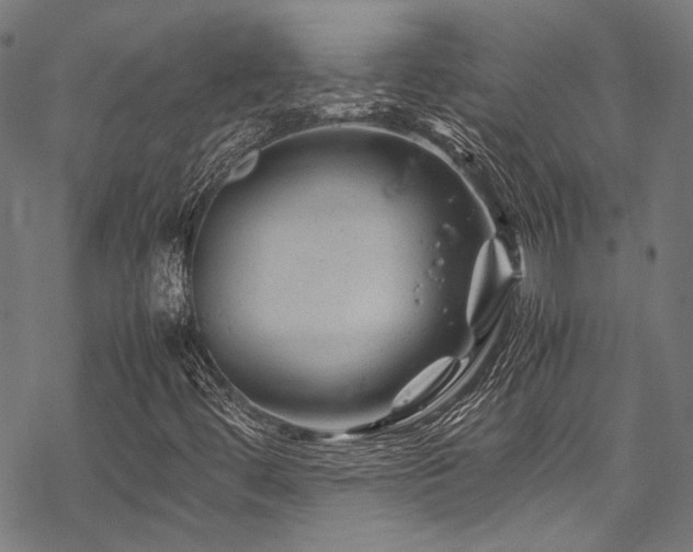 X0000070191444200605261146