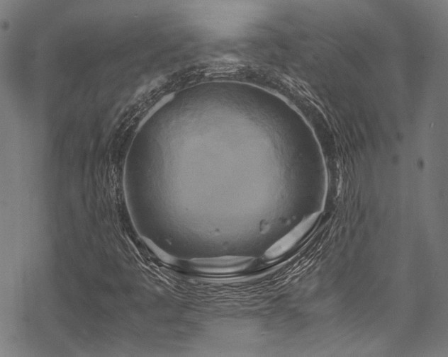 X0000070191445200605261146