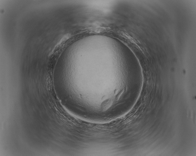 X0000070191446200605261146