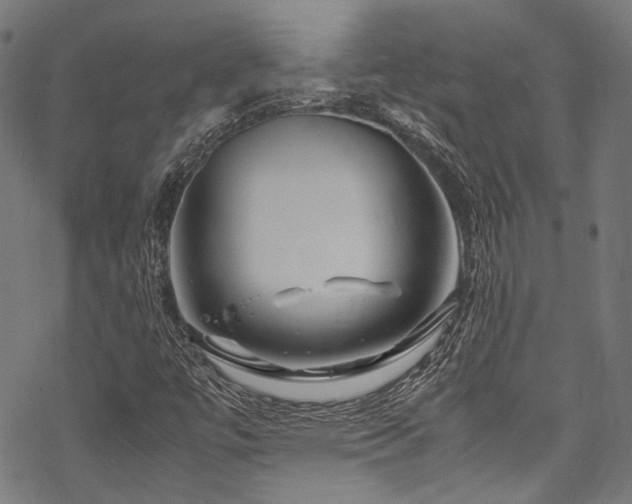 X0000070191447200605261146