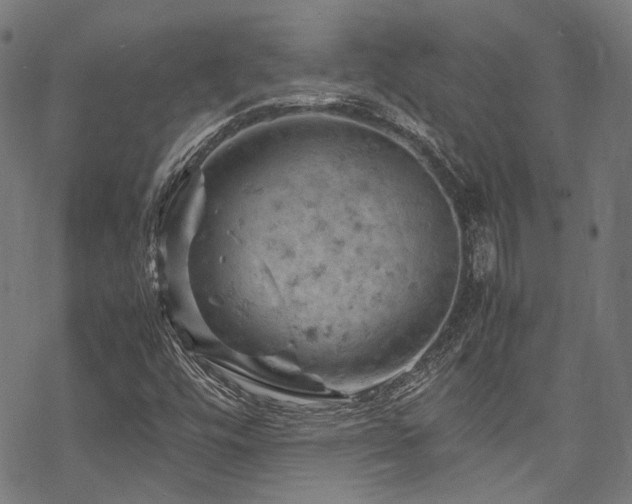 X0000070191448200605261146