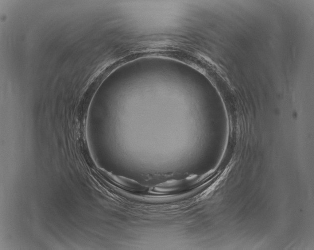 X0000070191449200605261146