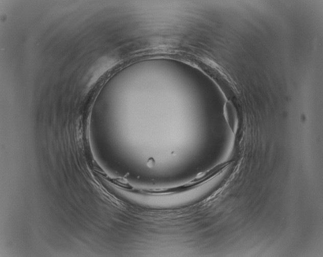 X0000070191450200605261146