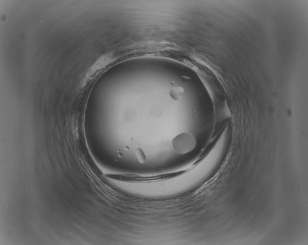 X0000070191451200605261146