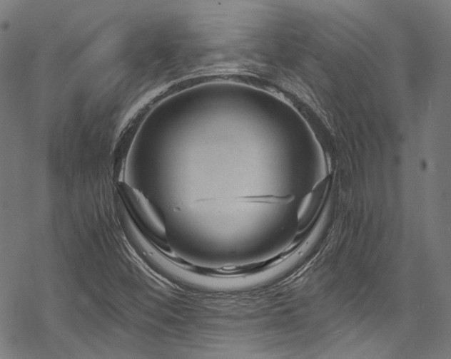 X0000070191452200605261145