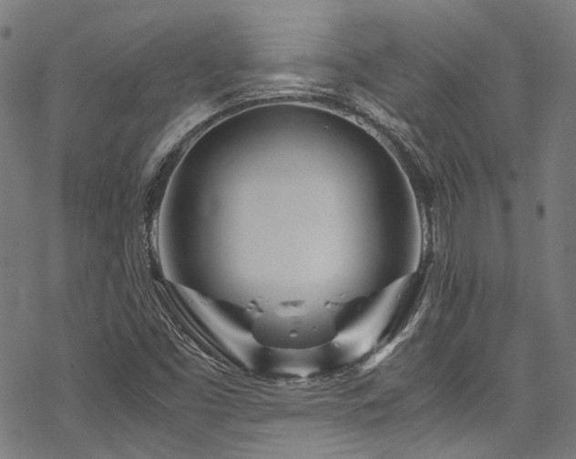 X0000070191453200605261145