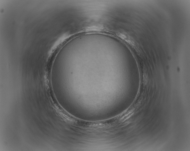 X0000070191454200605261145