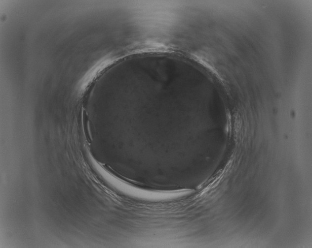 X0000070191455200605261145