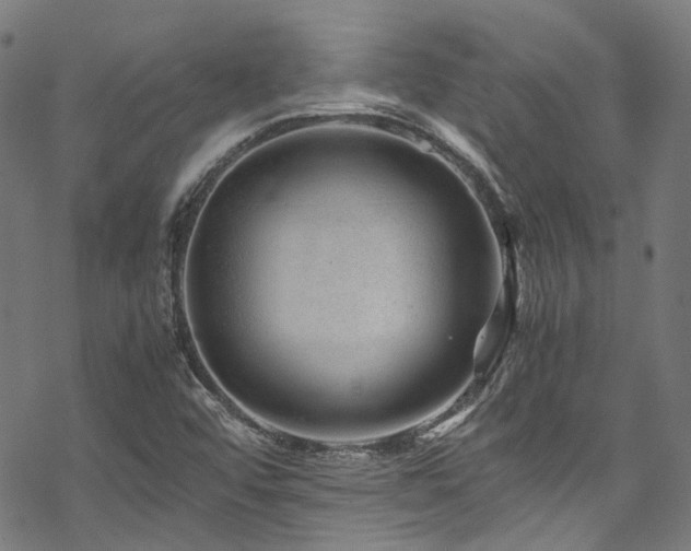 X0000070191456200605261145