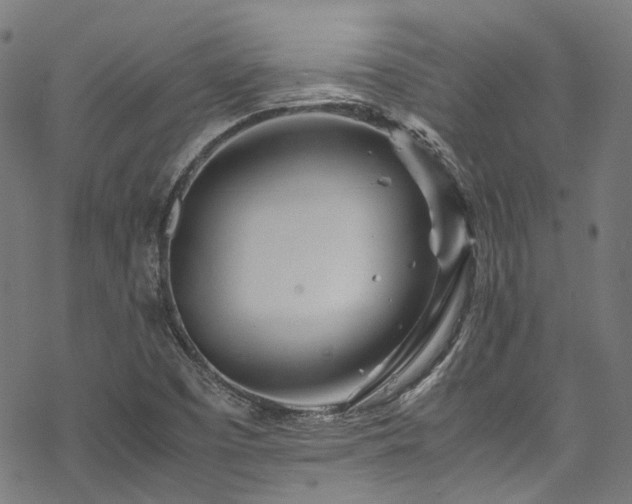 X0000070191457200605261145