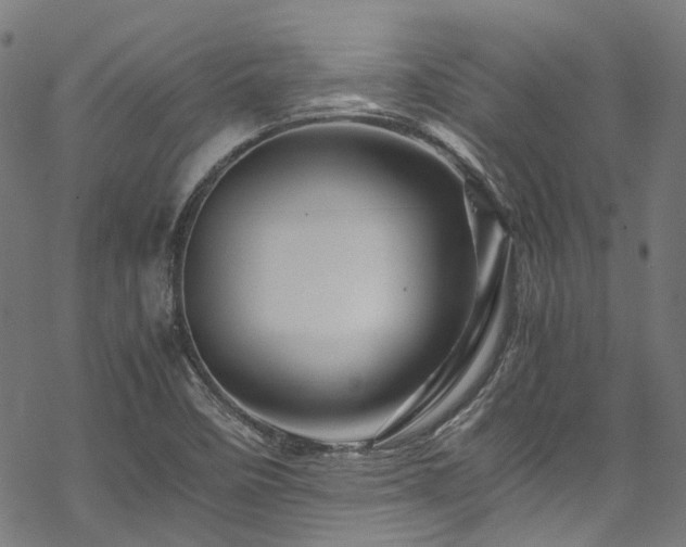 X0000070191458200605261145