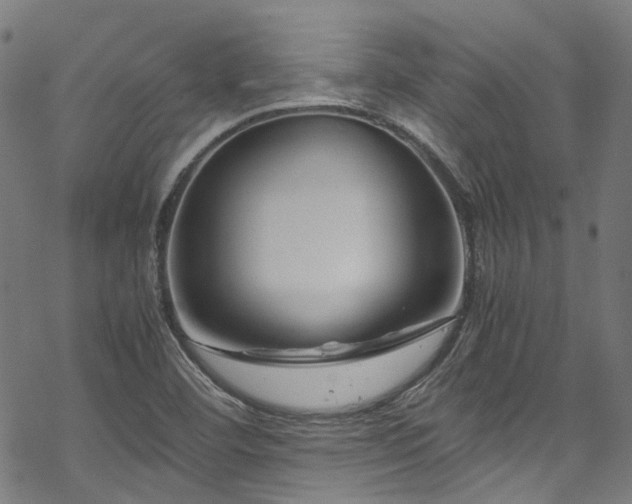 X0000070191460200605261145