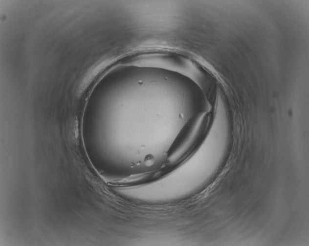 X0000070191461200605261145