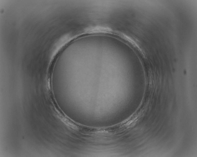 X0000070191462200605261145