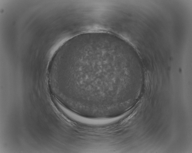 X0000070191463200605261145