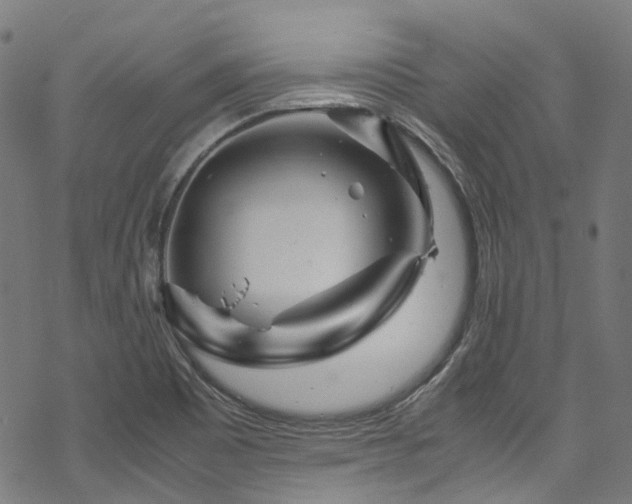 X0000070191465200605261145