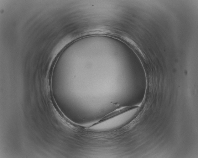 X0000070191466200605261145