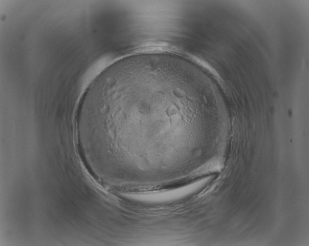 X0000070191467200605261145