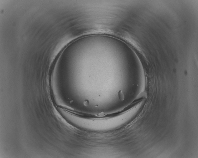 X0000070191468200605261145