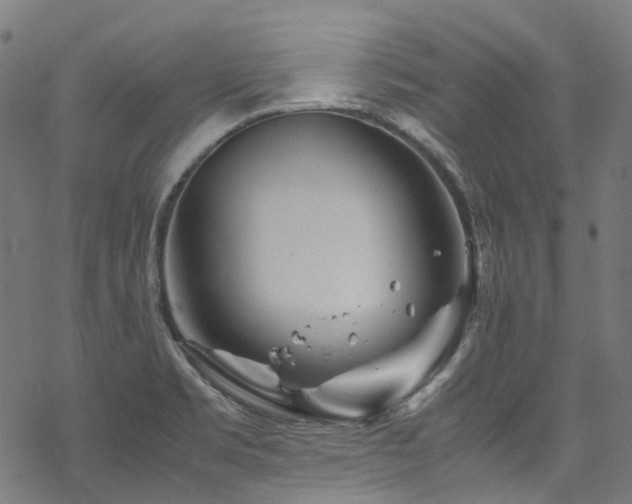 X0000070191469200605261145