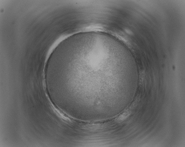 X0000070191470200605261145