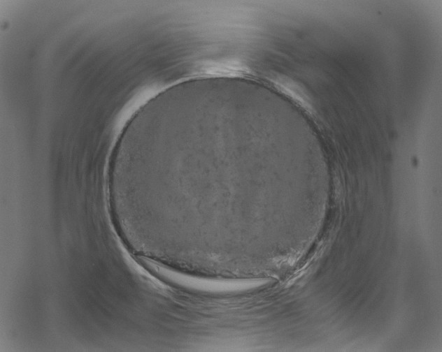 X0000070191471200605261145