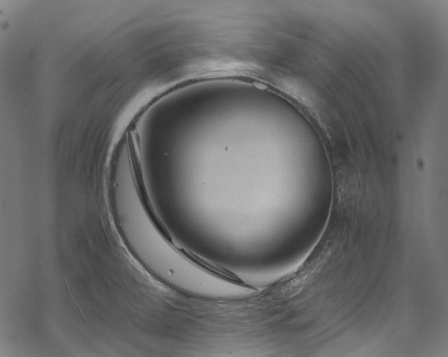 X0000070191472200605261145