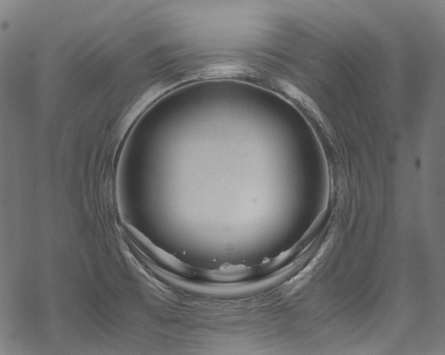 X0000070191473200605261145