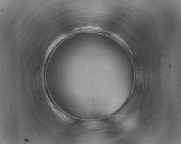 X0000070191474200605261145