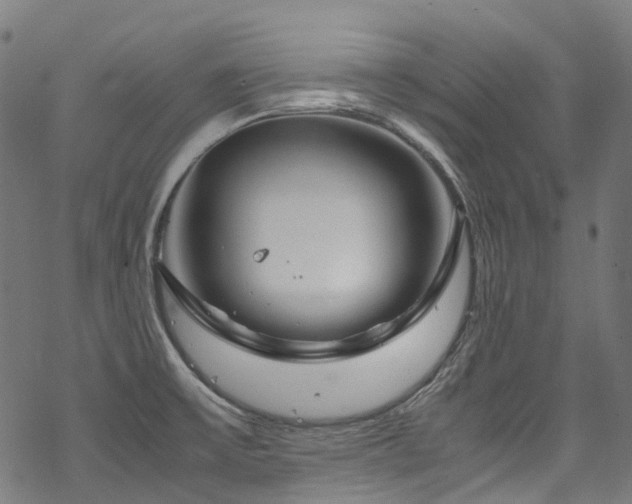 X0000070191475200605261145