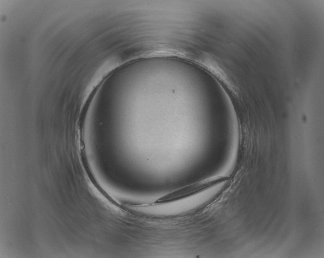 X0000070191476200605261145