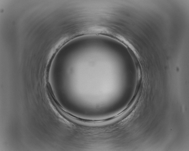 X0000070191477200605261145