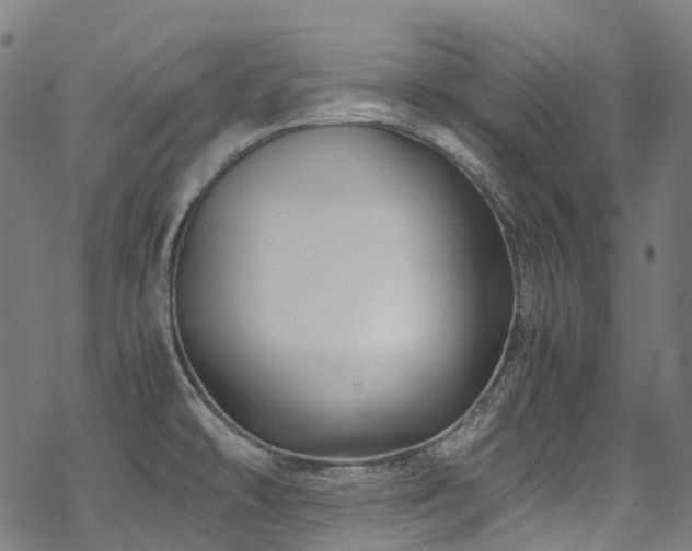 X0000070191478200605261145