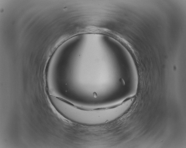 X0000070191479200605261145