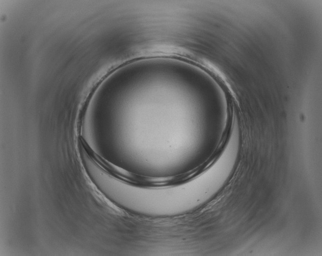 X0000070191480200605261145