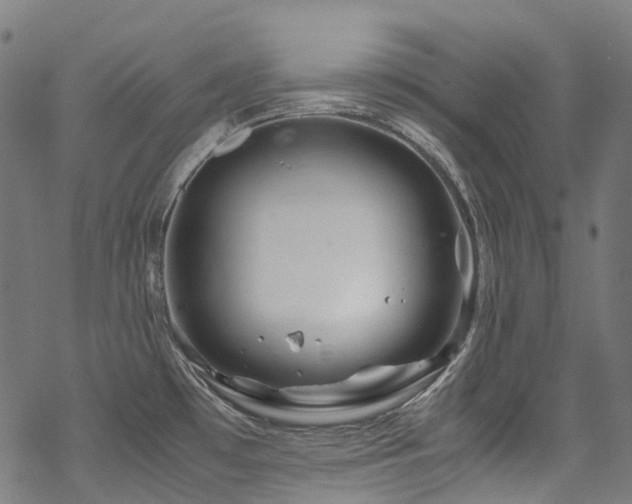 X0000070191481200605261145