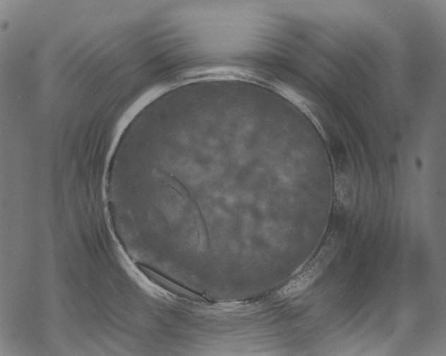 X0000070191482200605261145