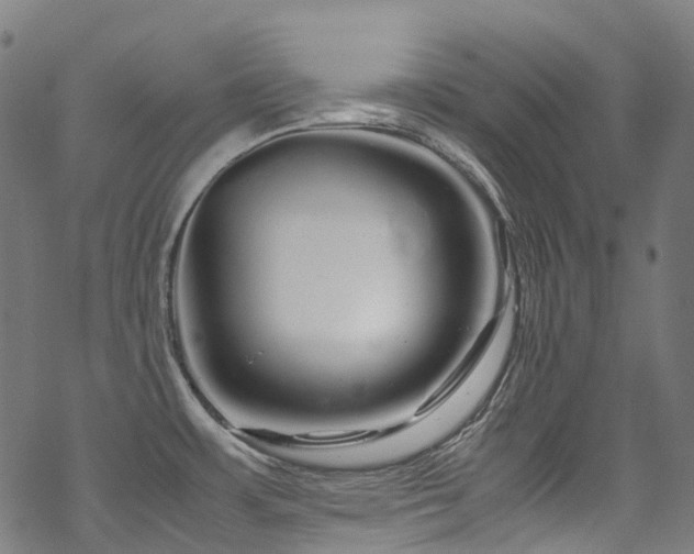 X0000070191483200605261145