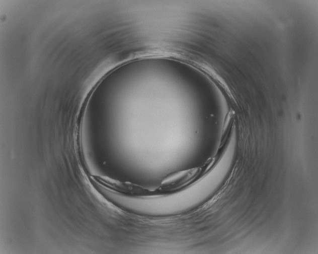 X0000070191484200605261145