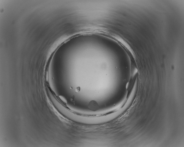 X0000070191485200605261145