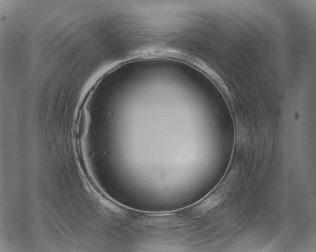 X0000070191486200605261145