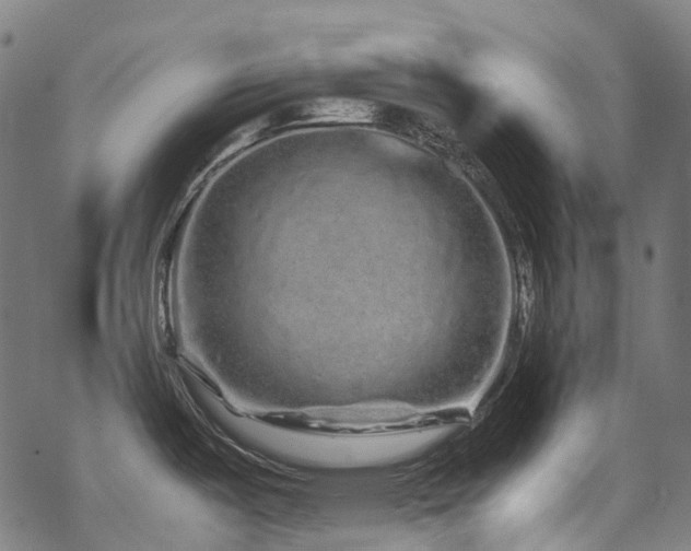 X0000070191487200605261145