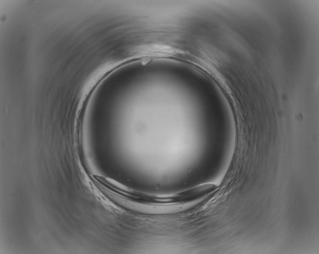 X0000070191488200605261145