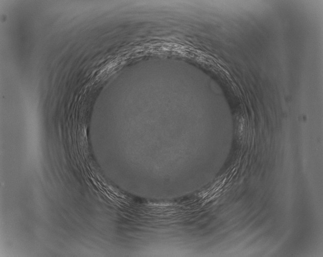 X0000070191489200605261144