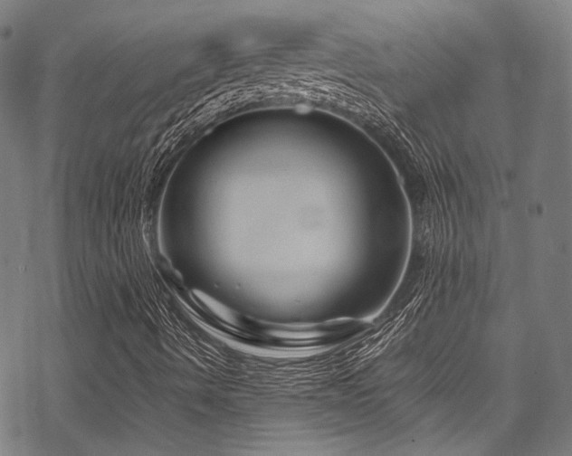 X0000070191490200605261144