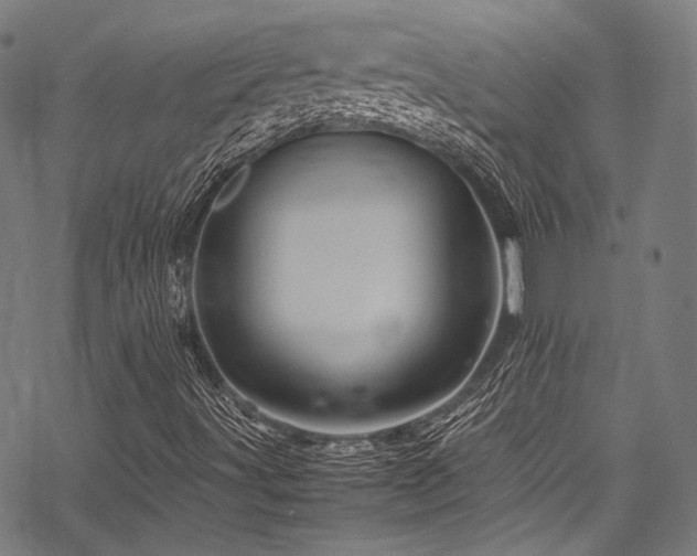 X0000070191491200605261144