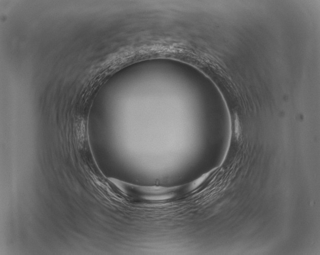 X0000070191492200605261144