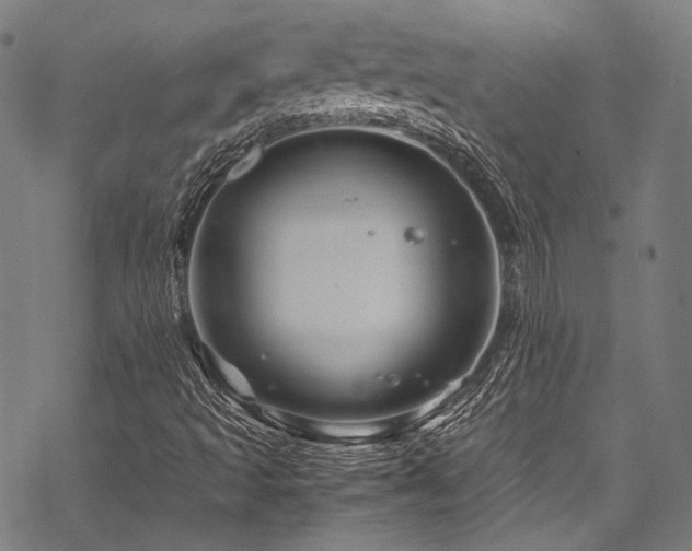 X0000070191493200605261144